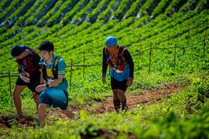 BIB: 
                            <button type="button" onclick="openModal(19162383)" class="btn btn-primary btn-sm float-right btn-popup" data-toggle="modal" data-target=".modal-high-quality">
                        <i class="fas fa-shopping-cart"></i> Add to Cart
                    </button>
                                            <button type="button" onclick="isThisMe(19162383, true)" class="btn btn-success btn-sm float-right btn-popup btn-isme hidden" data-toggle="tooltip" data-placement="bottom" title="นี่คือรูปของคุณใช่ไหม คลิกที่นี่เพื่อเอาเข้าอัลบั้ม">
                        <i class="fas fa-plus"></i> Add to album
                    </button>
                    <button type="button" onclick="isThisMe(19162383, false)" class="btn btn-warning btn-sm float-right btn-popup btn-isnotme hidden">
                        <i class="fas fa-ban"></i> Remove from album
                    </button>